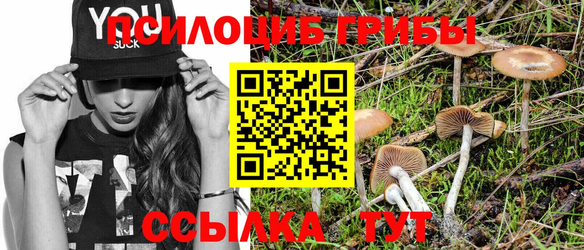 Галлюциногенные грибы прущие грибы Жигулёвск
