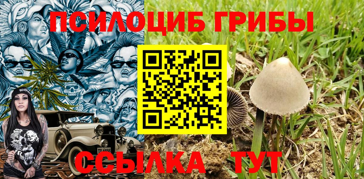 Галлюциногенные грибы GOLDEN TEACHER  Вход с VPN  Жигулёвск 